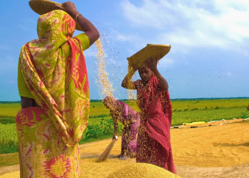 নতুন ধানে হয় নবান্ন