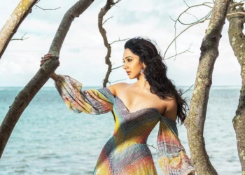 পাপড় বেচবেন কিয়ারা