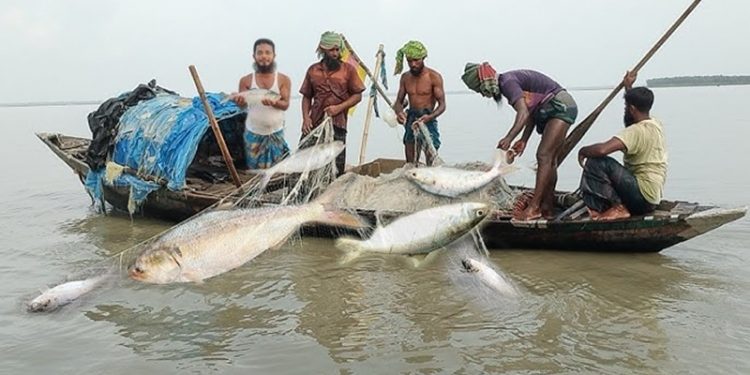 দুর্গাপূজায় পশ্চিমবঙ্গের মানুষের পাতে কি উঠবে বাংলাদেশের ইলিশ?