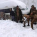 21 tourists died of frostbite while watching the snowfall