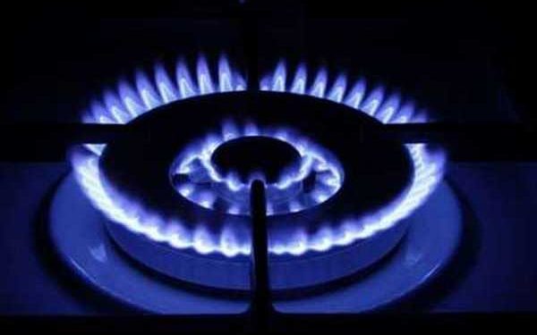 BERC did not accept the ‘Daisara’ proposal of price increase