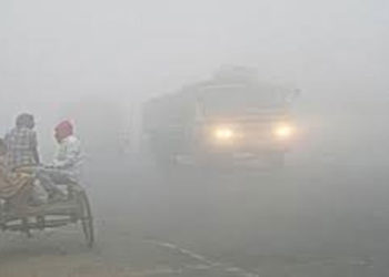 The cold wave will subside, and it may rain again