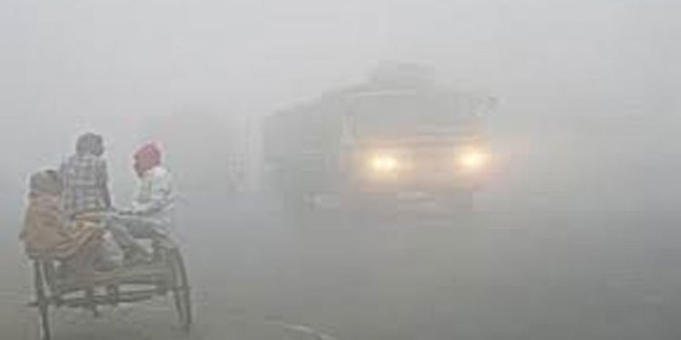The cold wave will subside, and it may rain again
