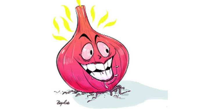 The price of onion increased due to unseasonal rains