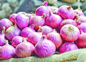 Onion import is not being stopped