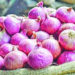Onion import is not being stopped