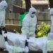 13 more died in Corona, 36 infected