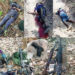 Gunfight leaves 3 dead at Rangamati in Bangladesh