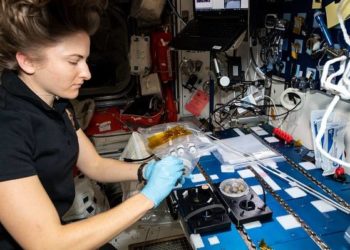 Celebrating Women’s History Month: Most Recent Female Station Crew Members