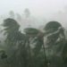 Storm-rain forecast, rising temperature