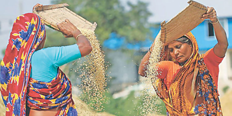 Women in rural Bangladesh pay more for rising cost of climate disasters