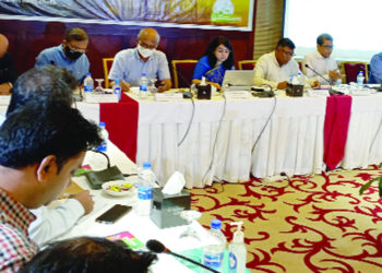 The power sector will suffer if new gas fields are not found