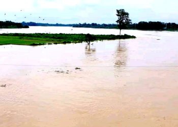 Fear of heavy rains in Sylhet, water above danger level at 19 points