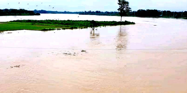Fear of heavy rains in Sylhet, water above danger level at 19 points