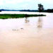 Fear of heavy rains in Sylhet, water above danger level at 19 points