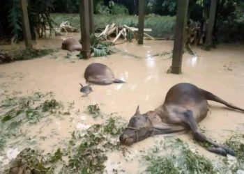 Acute crisis of food and clean water