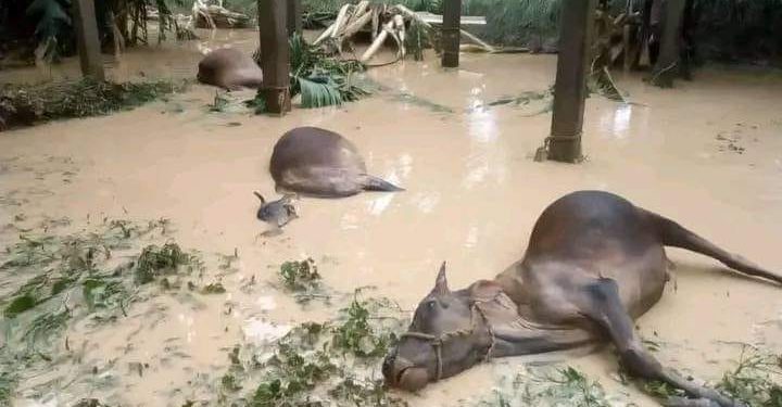 Acute crisis of food and clean water