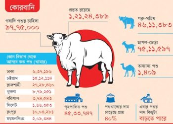 A quarter of a million animals are ready