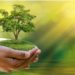 World Environment Day: There is only one world