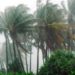 Low pressure at sea, warning number 3 in ports