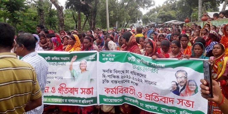 Bangladesh: Tea workers’ daily wages fixed at Tk 170