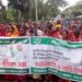 Bangladesh: Tea workers’ daily wages fixed at Tk 170