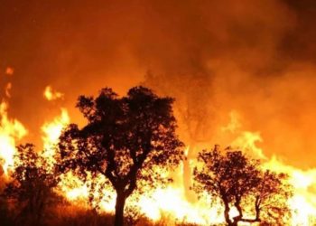 At least 26 people were killed in the fire in Algeria
