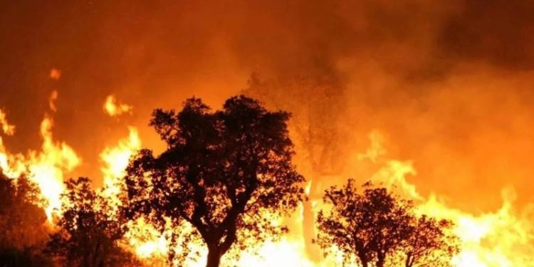 At least 26 people were killed in the fire in Algeria