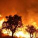 At least 26 people were killed in the fire in Algeria