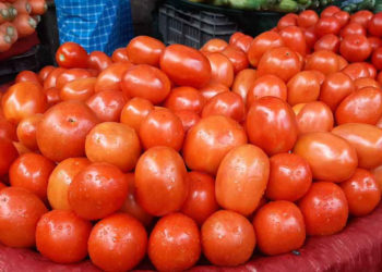 If necessary, import of tomatoes from India will be stopped: Agriculture Secretary