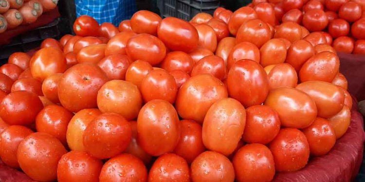If necessary, import of tomatoes from India will be stopped: Agriculture Secretary