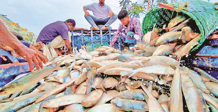 Writ seeking ban on hilsa export from Bangladesh to India
