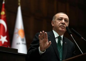 Gas problem is caused by the West: Erdogan