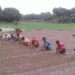 Prospect of summer onion production bright in Rajshahi