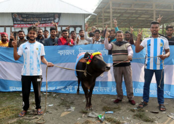 A cow was bought for 73 thousand taka, one thousand people will eat it