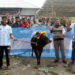 A cow was bought for 73 thousand taka, one thousand people will eat it