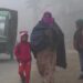 Panchagarh overcomes the Magh winter