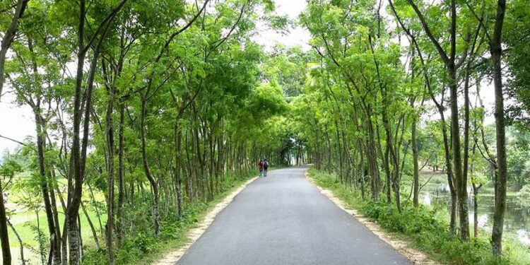 Infrastructure development infuses dynamism into rural livelihoods