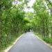 Infrastructure development infuses dynamism into rural livelihoods