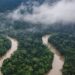 Amazon scientists simulate how warming may impact jungle