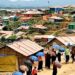 Rohingya repatriation interrupted by United Nations!