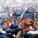 Border market filled with domestic cows, disappointment with fewer buyers