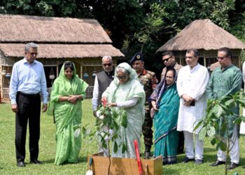 Plant trees to protect Bangladesh from climate change: PM