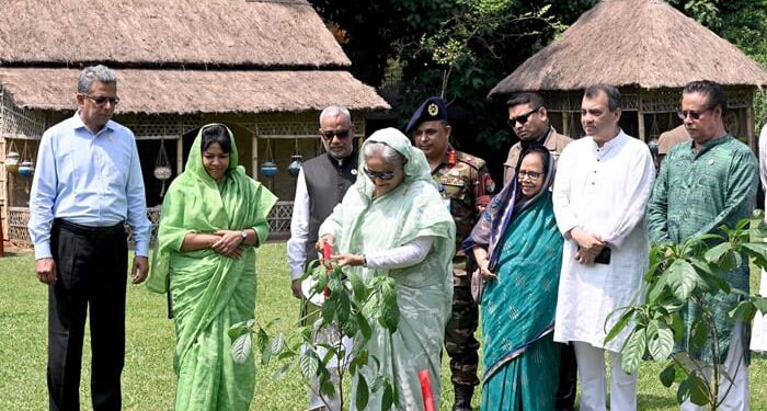 Plant trees to protect Bangladesh from climate change: PM
