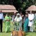 Plant trees to protect Bangladesh from climate change: PM