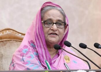 Bangladesh will never bow down to any external interference: PM