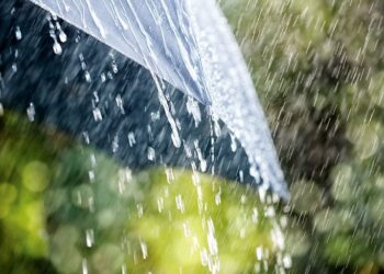 Light to moderate rain likely