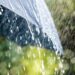 Light to moderate rain likely