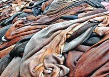 Tanners collect over 4.5 lakh pieces of rawhide