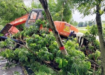 Four killed in Gopalganj road accident